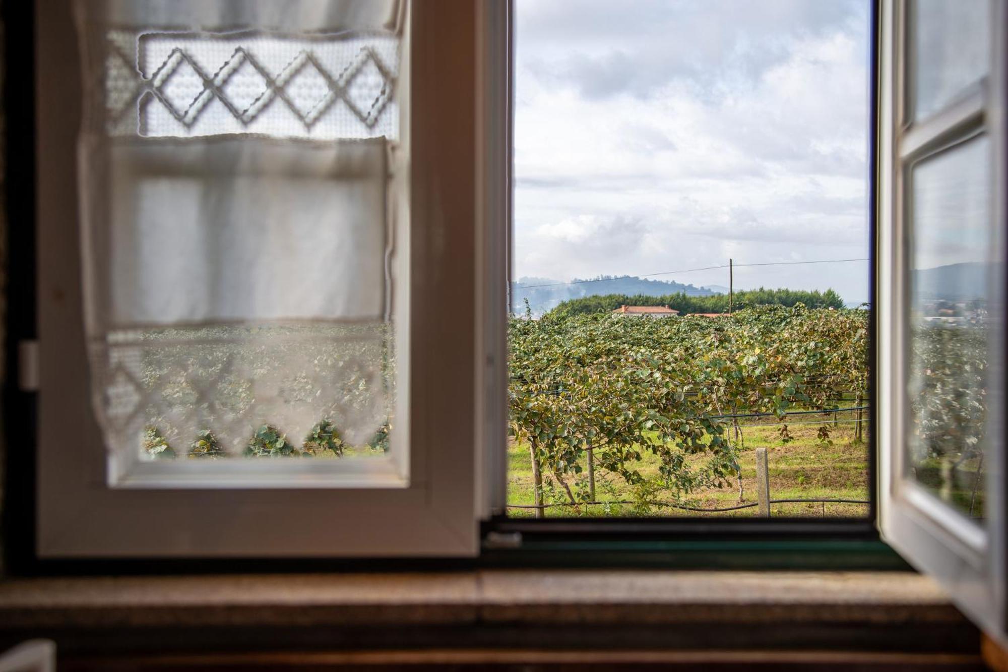 Quinta Do Carvalhal Alojamento, Penafiel Irivo Esterno foto